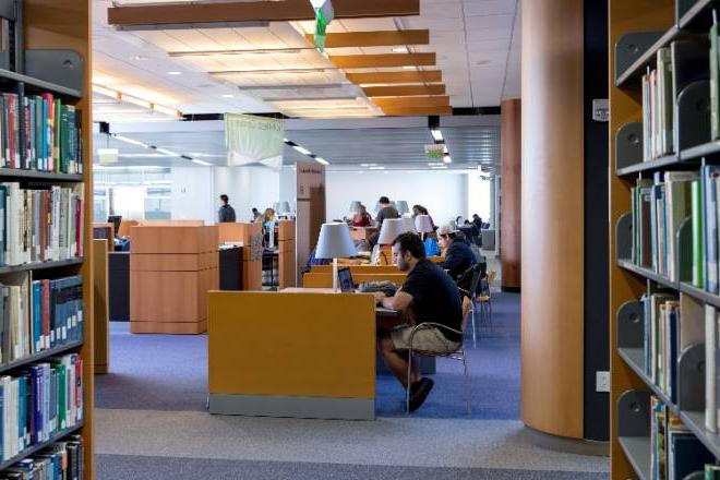 Students studying in library